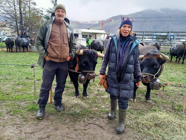 la ferme et nos vaches